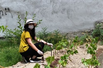 103820717_568636413824088_5150324400468345198_n